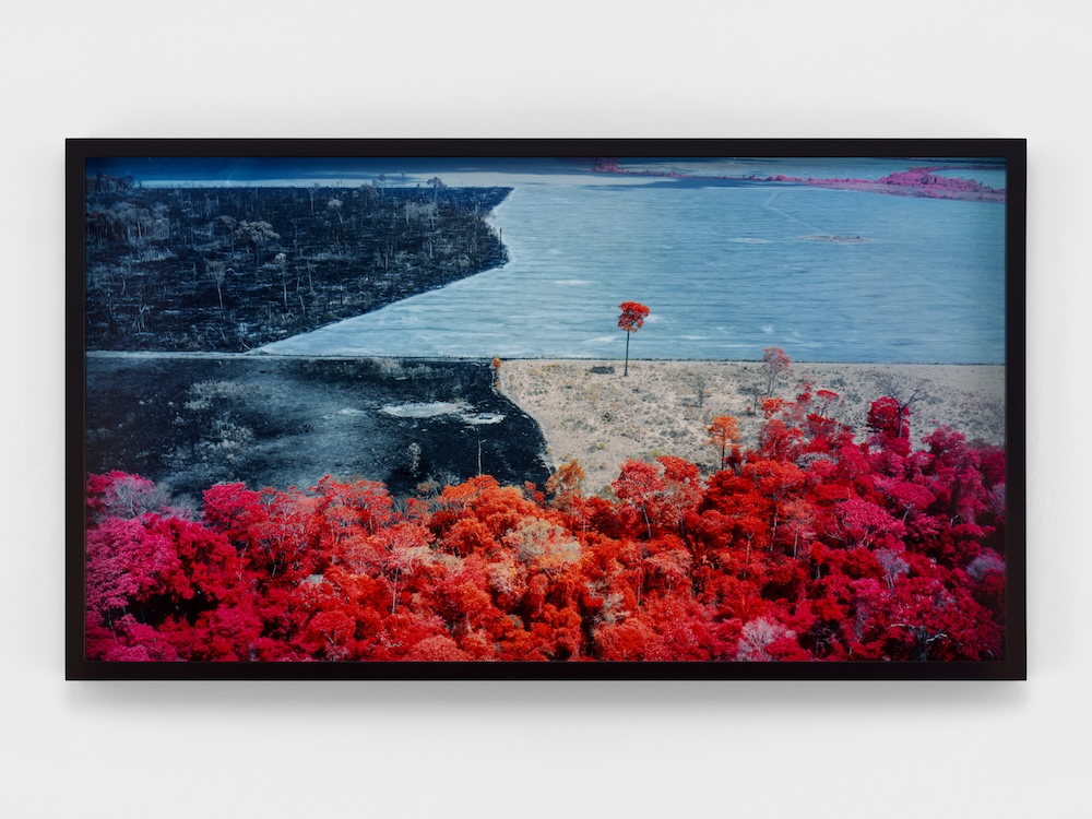 Richard Mosse